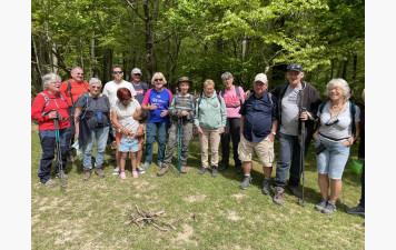 Rando en forêt de Balleroy
