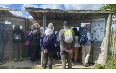 Observation des oiseaux